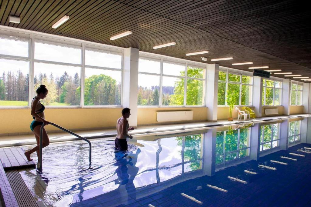 479 Mit Schwimmbad,sauna Und Bar In Panoramic Hohegeiss Appartement Braunlage