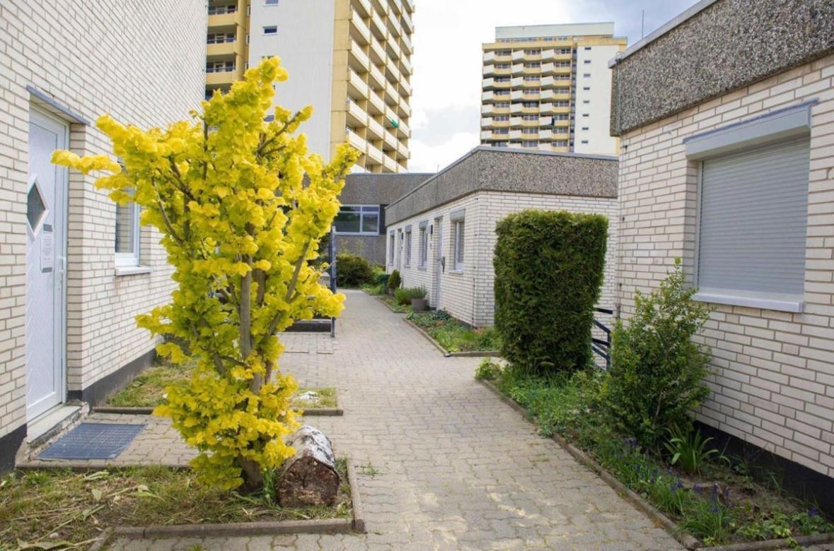 Appartement 479 Mit Schwimmbad,sauna Und Bar In Panoramic Hohegeiss